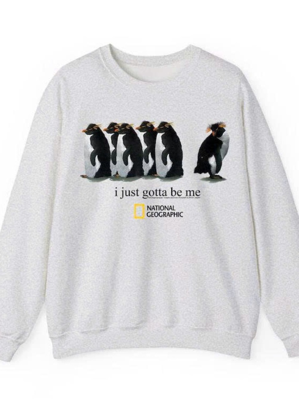 Sport gray Crewneck Sweater with Penguin Graphic